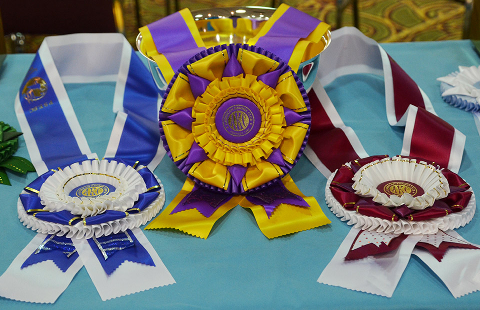 beautiful ribbons and rosettes