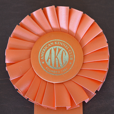Rosette Style #1 A, B & C- one row pleats, for class placements, 4