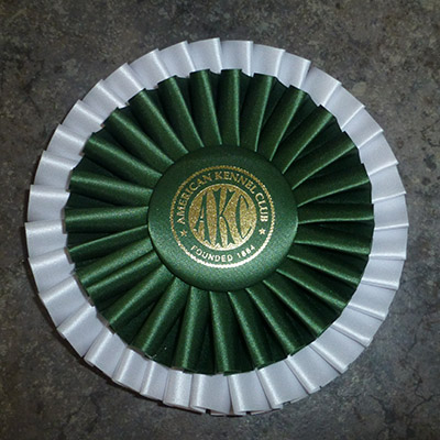 Rosette style #2- two rows of pleats, 5 1/2