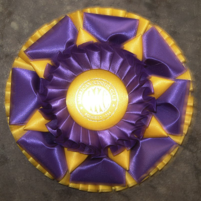 Rosette style #9- two rows pleats, w/ petals & points, 6 1/2